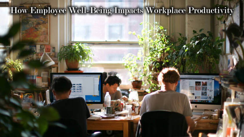 How Employee Well-Being Impacts Workplace Productivity